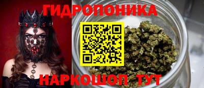 эйфоретик Будённовск