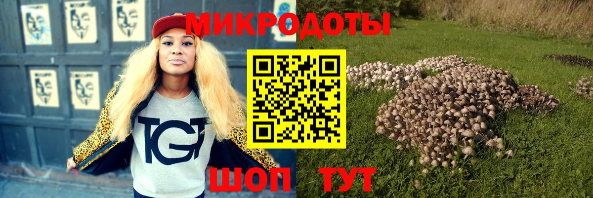 Псилоцибиновые грибы Cubensis Кумертау