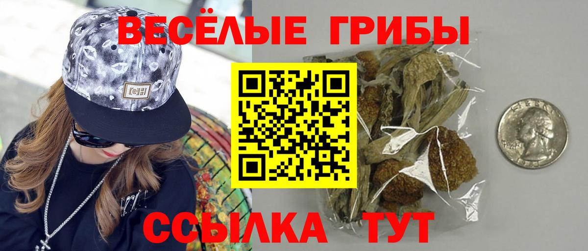 Кумертау  Псилоцибиновые грибы мухоморы  цена наркотик  Вход с VPN 